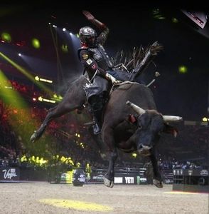 Meet your Posher, Larry